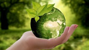ISO 14001 и транспорт: как компании снижают выбросы с помощью экологического менеджмента